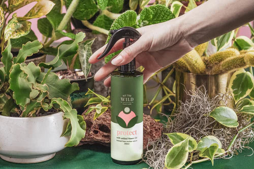 We the Wild - Protect Spray with Neem