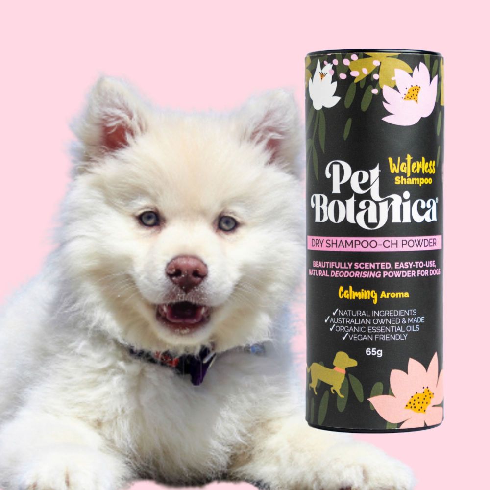 Pet Botanica Dry Shampoo-Ch Powder - Calming Aroma