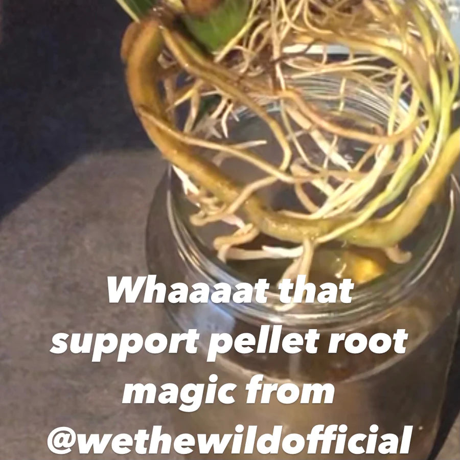 We the Wild - Support Slow Release Pellets