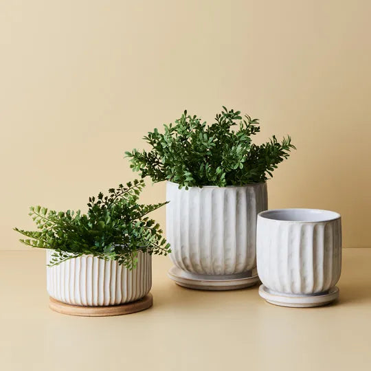 Clovelly Squat Pot with base